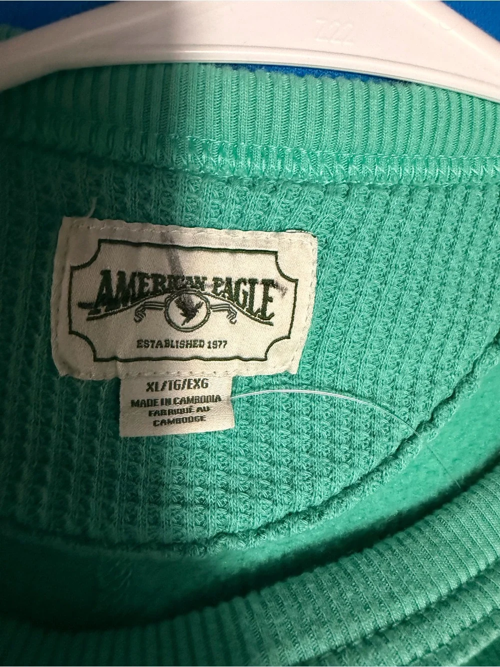 American Eagle Outfitters Teal Mountain Crewneck Sweatshirt
